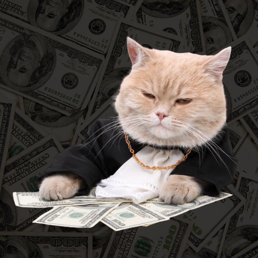 FatCatHood's tweet photo. im not fat. im financially thicc.

$FATCAT is live!

CA: 0x7f154482d8c0941d6a14a89a44a01d5b48ce3b2e
Web: https://t.co/KCen2nLowA https://t.co/Q3y0I3Lpn6
