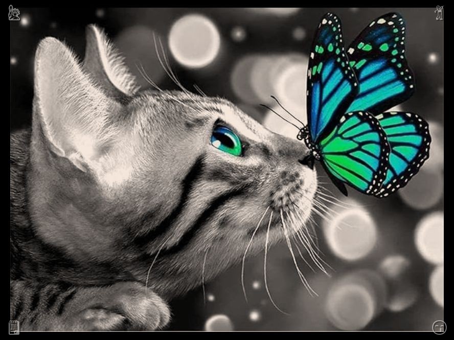vincedaddyXx's tweet photo. The cat plays with a mouse toy. Months later, she held a fundraiser at the lighthouse, utilizing the treasure funds to reconstruct the coastal town's community center, fulfilling her grandmother's wish. The event was successful, attracting people from across the town. https://t.co/rR9oR7Ghbd