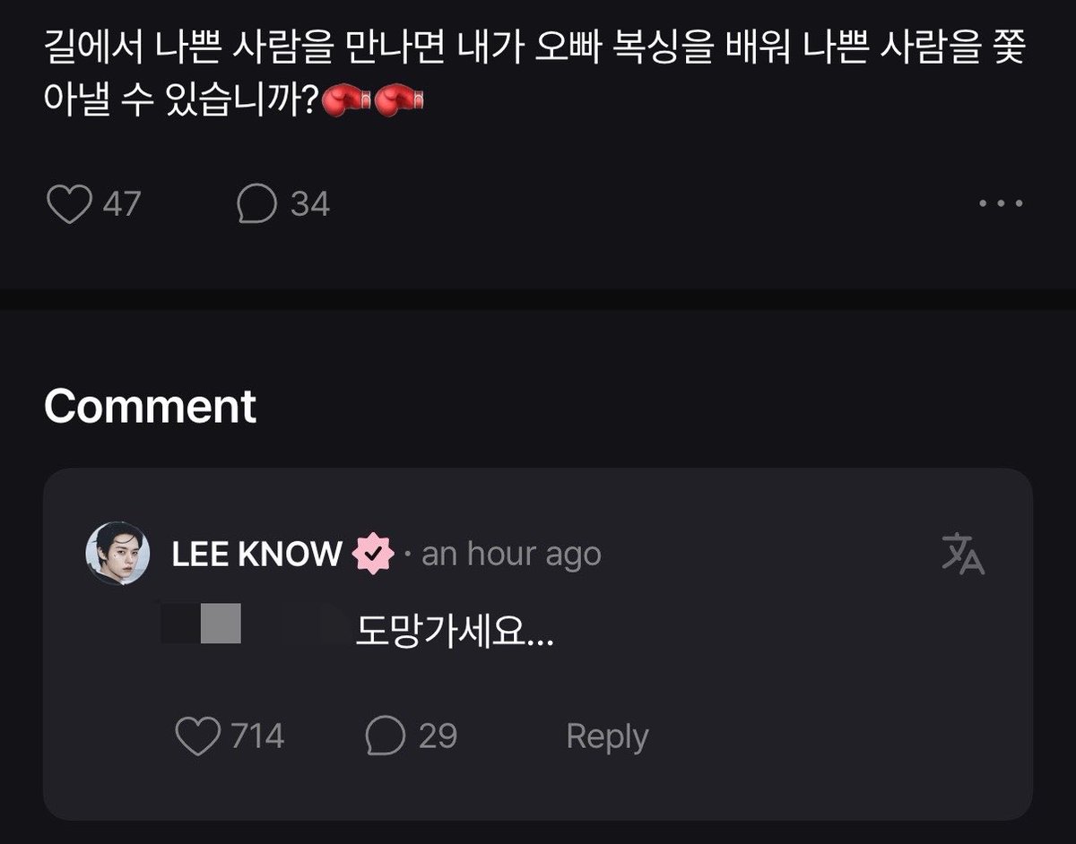 skzsfans's tweet photo. 💖: if i meet a bad person on the street, i can learn boxing from oppa and chase the bad person away? 🥊🥊

🐰: please run away… https://t.co/9Qe264eoEw