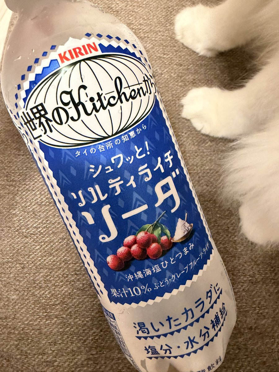 momosuzunene's tweet photo. 美味しすぎる飲み物を見つけてしまいました
ソルティライチの炭酸バージョン、最高です！
猫の足も添えときます🐱 https://t.co/PtjeRnnG2a
