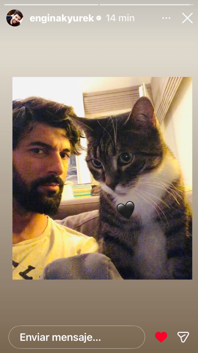 Ozgemaca's tweet photo. Extrañando a #Sefa nuestro guapo bombón #enginakyürek https://t.co/wYsQphzmuN