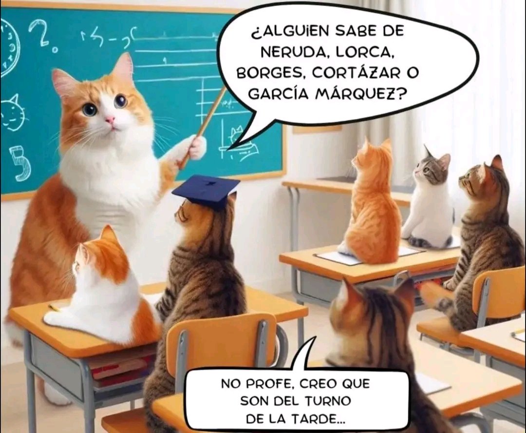 tiofelino2's tweet photo. Creo que son del turno de la tarde 😖😅🐱🐾 https://t.co/N3TOJ0kWgO