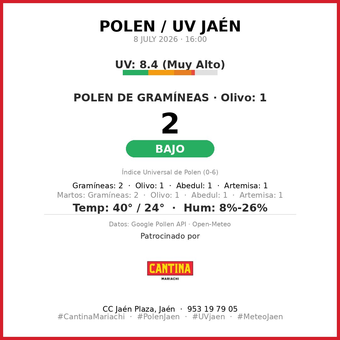 ReporteJaen's tweet photo. 🌿 Reporte Polen Jaén
8 JULY 2026

🔴 GRAMÍNEAS: 2 (Bajo)
Especies: Gramíneas: 2 · Olivo: 1 · Abedul: 1 · Artemisa: 1

☀️ Índice UV: 8.4 (Muy Alto)
🌡️ 40°/24° 💧 8%-26%

#PolenJaen #UVjaen #MeteoJaen #Jaén #CantinaMariachi https://t.co/OEgxZeNuvf