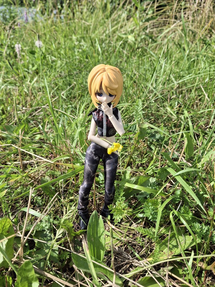 mugofglass's tweet photo. Joshua: What's taking her so long...
Jote: *approaches him* D-do those "shorts" suit me, Your Grace?
Joshua: *drops the flowers and tries to hold back nosebleed* Your legs... are the most graceful view I've ever witnessed...
#shuate #UndyingFlame https://t.co/Hl8zZqeDAQ