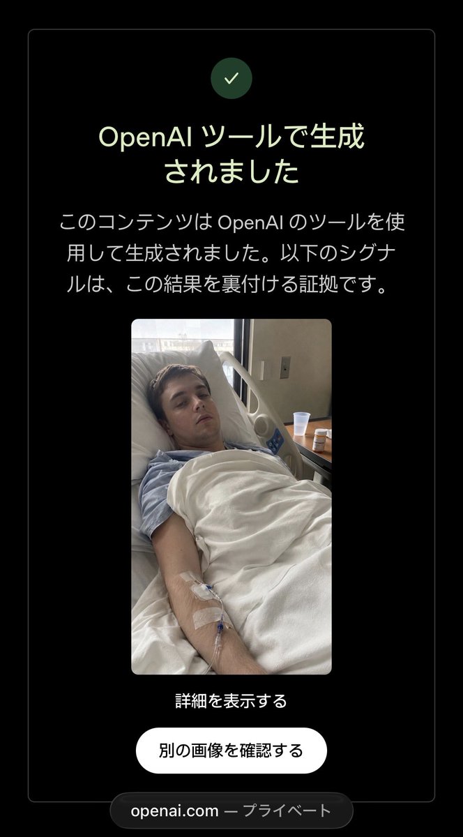 TigerGyroscope's tweet photo. “体験談”は嘘をつく【調査報告編】

善良なミュージシャンや医師たちが、詐欺まがいの「商法」と判断できずに、イベルメクチンの効果をうたう体験談を、うかつにリポストしてしまう。

前にも触れたが、びまん性橋部神経膠腫（DIPG）を患う17歳のカナダ人少年が、イベルメクチンとメベンダゾールの投与で小児ホスピスから救われたという体験談について今回取り上げる。

これはもともとウィリアム・マキス医師が2026年6月14日付でXにポストしたものだ。

https://t.co/3Rd37AmrhH

なぜか、そのときにではなく、最近になってこの体験談をリポストされたのは、おそらく患者と見紛う画像が掲載されていたからではないかと推察する。よく考えれば、個人情報が掲載されている時点で「おかしい」と気づくはずだが、信用してしまったようだ。

このマキス医師の体験談がどう「盗用」され、拡散されていったか、時系列で追ってみる──

1. mcgill_medicines 26/6/15 10:48
New York, USA (実体はAfrica)

2. skymeds store 26/7/2 23:14
USA (実体はindia)

3. Joe Tippens 26/7/3 7:35
Oklahoma, USA (実体はSouth Africa)

4. Take Ivermectin 26/7/3 20:42
United states (実体はIndia)

5. commentary 26/7/3 23/:14
United states (実体はIndia)

6. shopmedscart 26/7/4 13:57
USA (実体はIndia)

7. Ivermectin For Sale 26/7/4 21:51
USA (実体はIndia)

8. Reliable Chemist 26/7/5 6:30
Mumbai, India (South Asia)

翌日にはもう「盗用」されている。すると、美味しいエサにありつこうとオンラインクスリ💊屋が一斉に群がり、出所を明示せずにポスト（リポストではない）し始める。

体験談だけでは興味を示さないので、患者と誤認識させる画像で「偽装」することで、イベルメクチン「美談」をありがたがる人々に注目され拡散してくれると業者はよく知っている。

患者と見紛う画像は、OpenAIのツールを使用して生成されたAI画像だったようだ（画像参照）。

この画像の出所について、ウィリアム・マキス医師から返答があったので紹介する──

『他の人が追加した画像はすべて捏造されたものです。
ストーリーがいったん盗用されると、その詳細が改変されているかどうかは分かりません。素材を盗む詐欺師があまりにも多くて、すべてを把握しきれないのです』

ここに紹介した「正体不明の」8つのアカウントがポストしている“体験談”にはくれぐれもご用心を。

「偽造イベルメクチン」はこうした詐欺まがいの業者（とくにインドとアフリカ）を介して流通されるだろうから、身を守るために自衛されたい。日本では、ぽち…