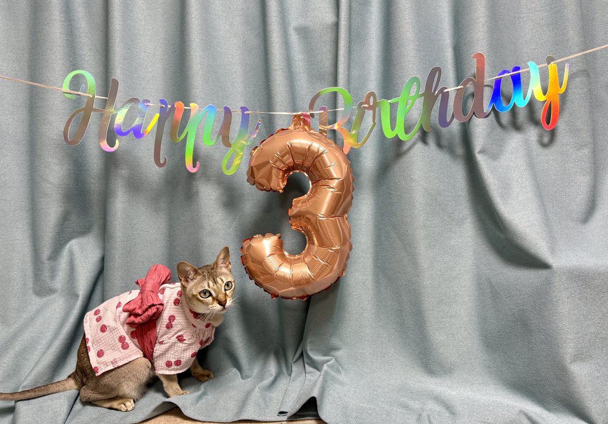 ultra_urui's tweet photo. 誕生日おめでとう記念撮影🍾 https://t.co/6NIV9RPQhM