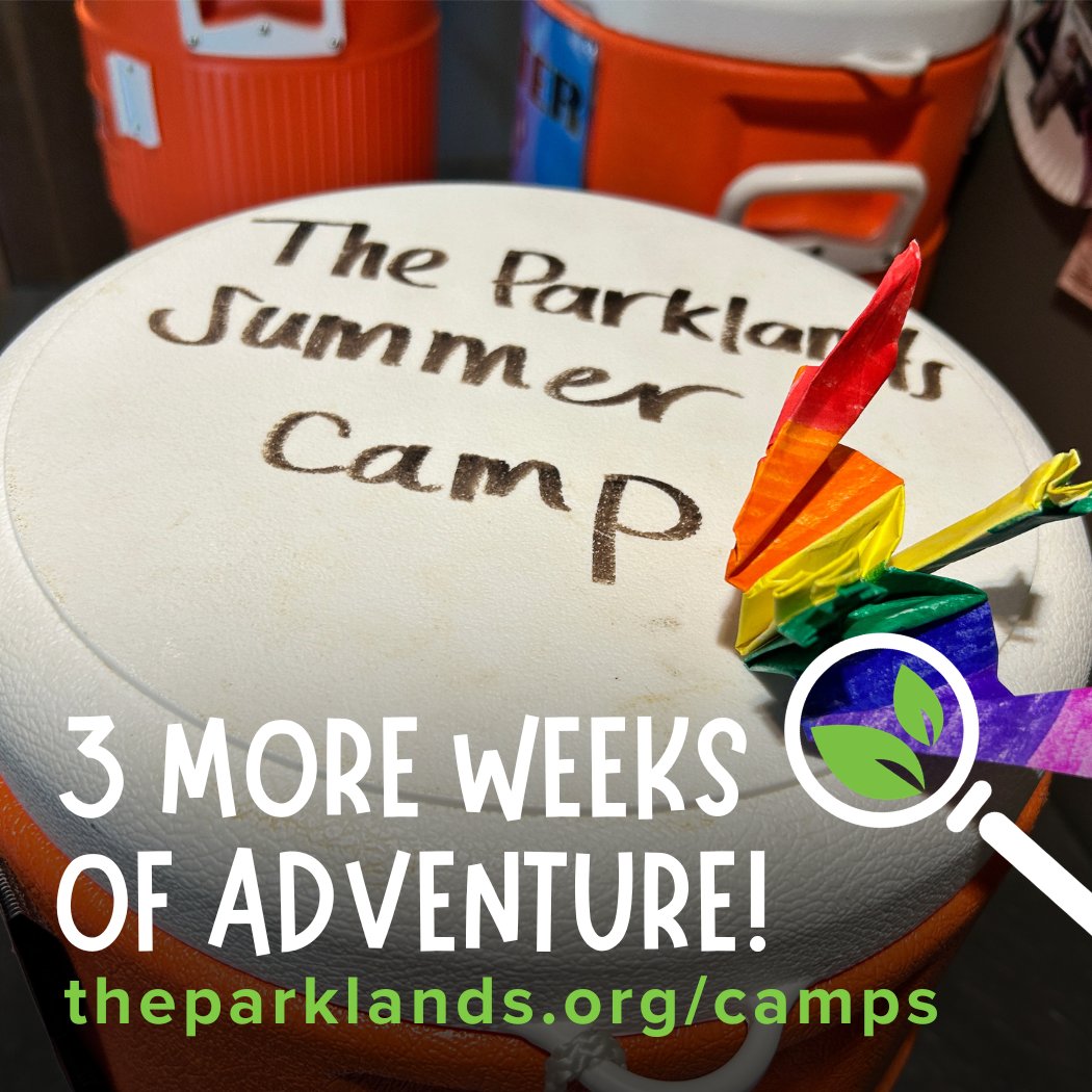 TheParklands's tweet photo. Summer Camp is in full swing—on the playground and sprayground, along trails, and up and down the creek. Camp ends in three weeks, but limited openings are still available! Register here:  https://t.co/j6zjmGqeE1 https://t.co/kriMMN7Njk