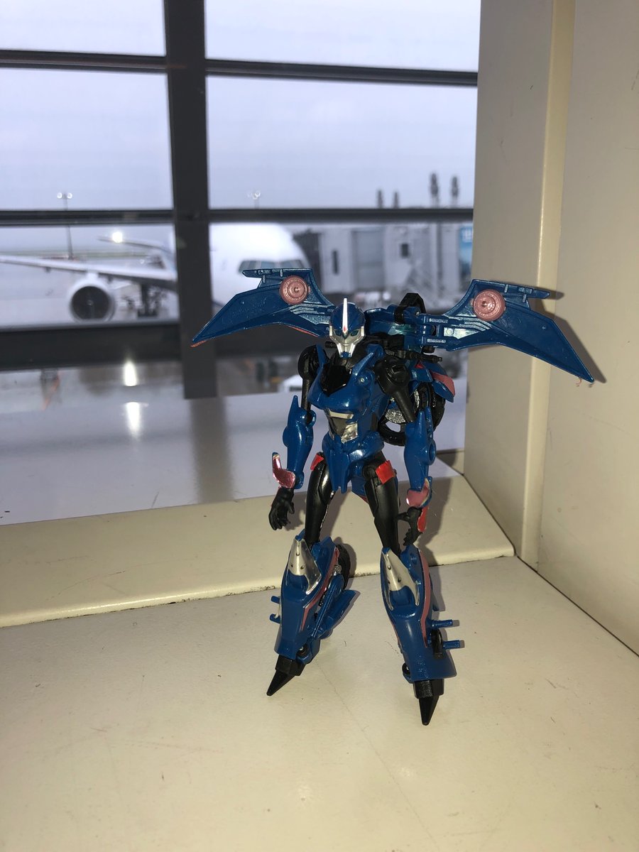 浪人ぎょのダイスケ(東方Project偽伝 箱庭戦争 準備中) tweet media