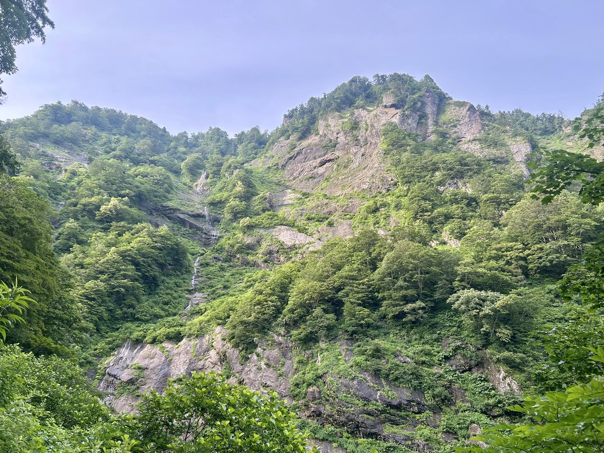 celsuper2's tweet photo. 断崖絶壁の峡谷

絶対に登れない斜度に、よく見ると鹿がいる https://t.co/AfZC8qbLie