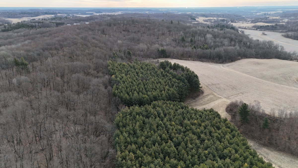 hlrbohunting's tweet photo. 480 acres in Wisconsin's Driftless, Monroe County. Over 30 years of quality deer management — neighbors included — and a long history of trophy whitetails. Stands, food plots, and a pond already in.
https://t.co/S7ROSWUnpg
#WhitetailHunting #WisconsinHunting #HLRBO https://t.co/oLxIT1oShO