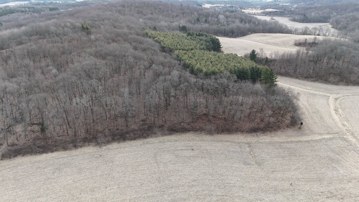 hlrbohunting's tweet photo. 480 acres in Wisconsin's Driftless, Monroe County. Over 30 years of quality deer management — neighbors included — and a long history of trophy whitetails. Stands, food plots, and a pond already in.
https://t.co/S7ROSWUnpg
#WhitetailHunting #WisconsinHunting #HLRBO https://t.co/oLxIT1oShO