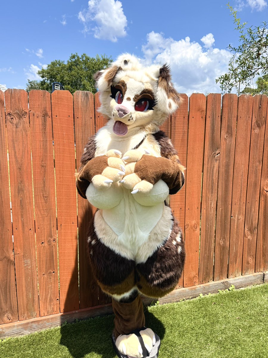 misqybun's tweet photo. More outdoor photos!! Love love love these 💛
#fursuit #furry https://t.co/IhO7yRqb7h