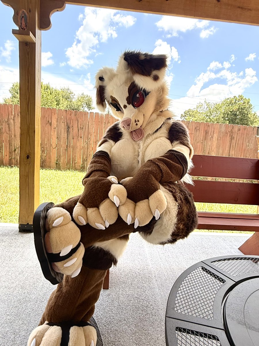 misqybun's tweet photo. More outdoor photos!! Love love love these 💛
#fursuit #furry https://t.co/IhO7yRqb7h