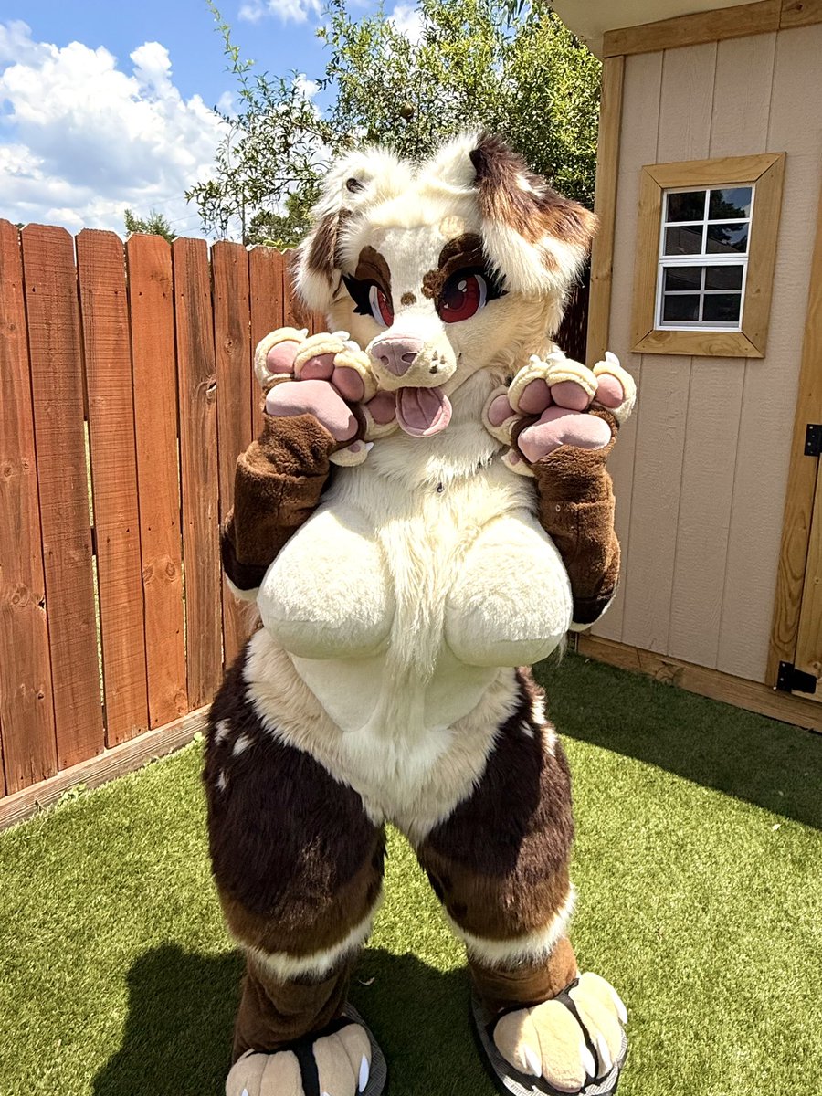 misqybun's tweet photo. More outdoor photos!! Love love love these 💛
#fursuit #furry https://t.co/IhO7yRqb7h