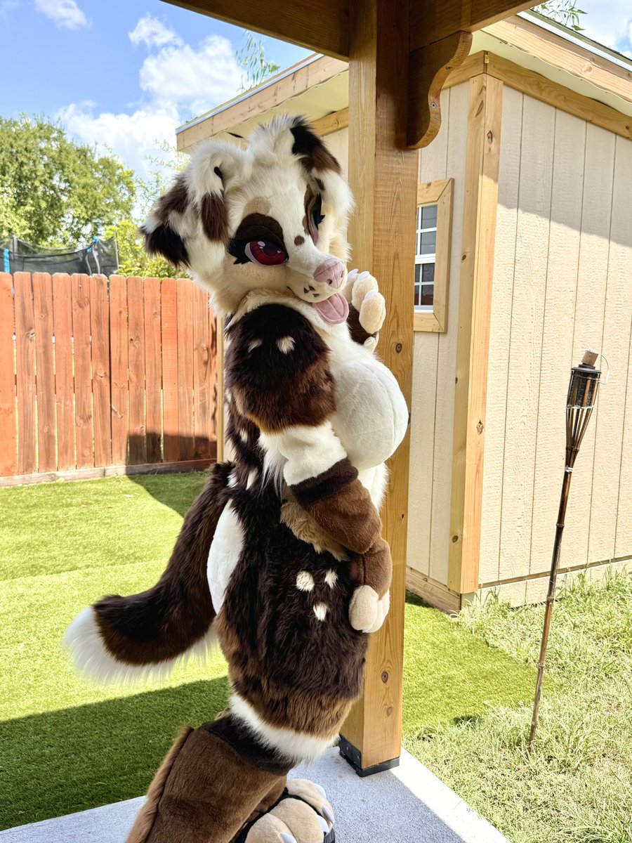 misqybun's tweet photo. More outdoor photos!! Love love love these 💛
#fursuit #furry https://t.co/IhO7yRqb7h