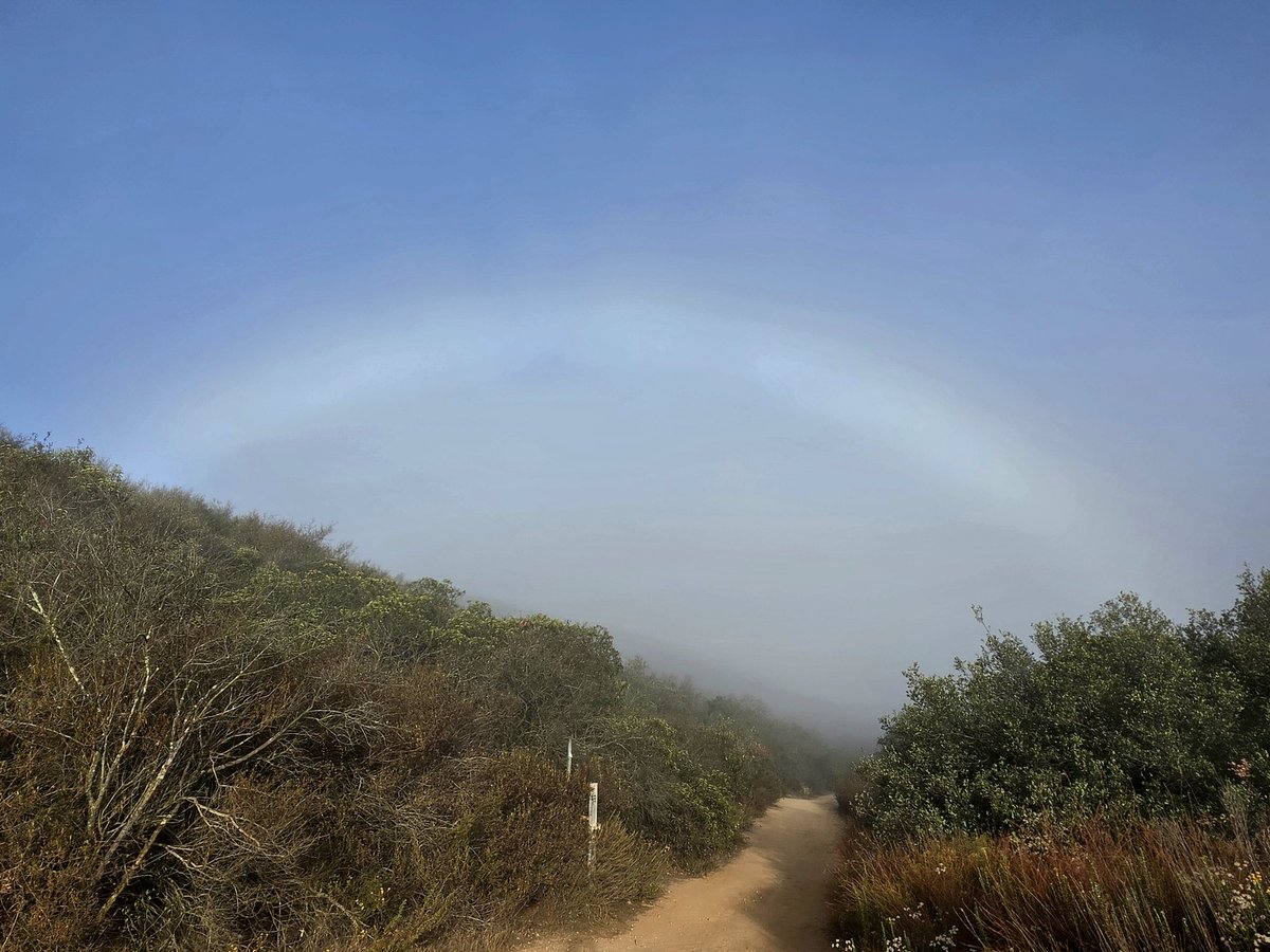 Sean18657296's tweet photo. @NWSSanDiego Well well well, what do we have here.!? https://t.co/LG0gP7jktc