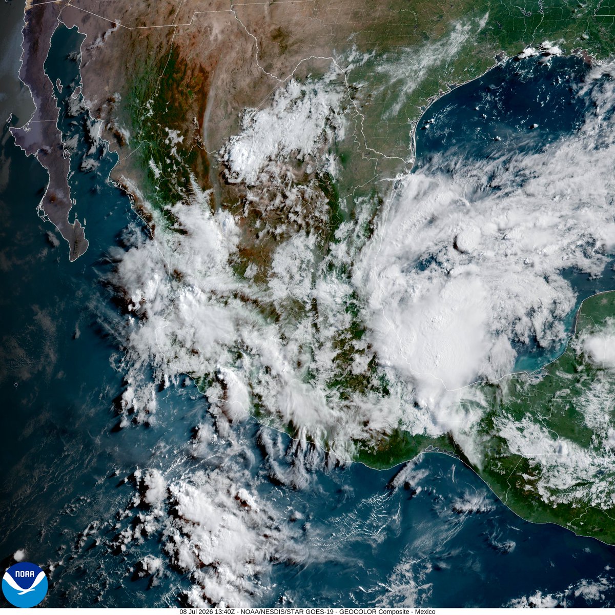 InfoMeteoro's tweet photo. ✅PRONÓSTICO MIÉRCOLES 8/JUL/2026 

“Mayor extensión y cantidad de lluvias; calor intenso en el norte y sureste; fresco el Altiplano…”

⛈️LLUVIAS Y TORMENTAS C/GRANIZO

🔴LAS MÁS INTENSAS🔴
-Ver, Oax, Pue, Tlax, Hgo, Qro, EdoMex, CDMX, Mor, Gto, Mich, Jal, Col, Ags, Zac, Nay, Sin, Dgo

🟡EVENTOS AISLADOS FUERTES
-BCS, Son, Chih, Coah, NL, Tamps, SLP, Gro, Tab, Chis, Camp, Yuc, QRoo

🌡️AMBIENTE DIURNO☀️
🔥41-45ºC BC, BCS, Son, Sin, NL, Tamps, Nay, Mich, Gro
🥵36-40ºC noroeste, norte, noreste
🥵26-35ºC Pacífico sur, oriente, sureste
😅15-25ºC Occidente, Bajío y Centro

⚠️🌬️RÁFAGAS DE VIENTO km/h
35-60 estados del norte, centro, sureste, siendo mayores en zonas de tormenta