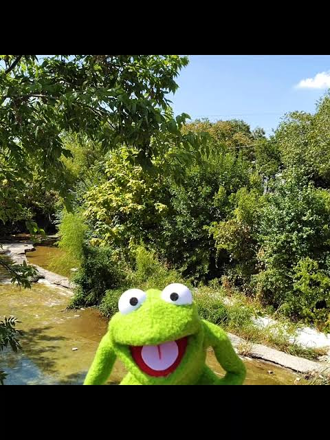 Robin_frog_meme's tweet photo. My name is ROBINNN THE FROGGGG

And i'm here to stay. 

Have faith in $ROBIN https://t.co/lbF1sTNdjV