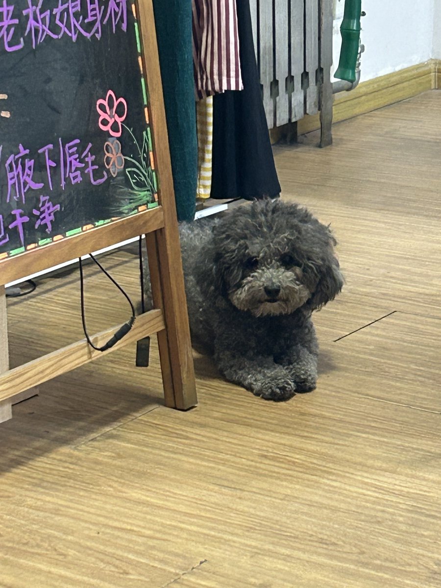 luvkizu's tweet photo. 칭다오 가는 사람들 여기서 네일꼭하면좋겟다.💅💅
10손연장+아트에 3만원나옴😭😭😭 그리고엄청졸귀졸귀강아지이쯈 ♡♡

어디냐묜 여기 👇👇

📍 本奈.日式美甲美睫 https://t.co/EwfHDes4oi