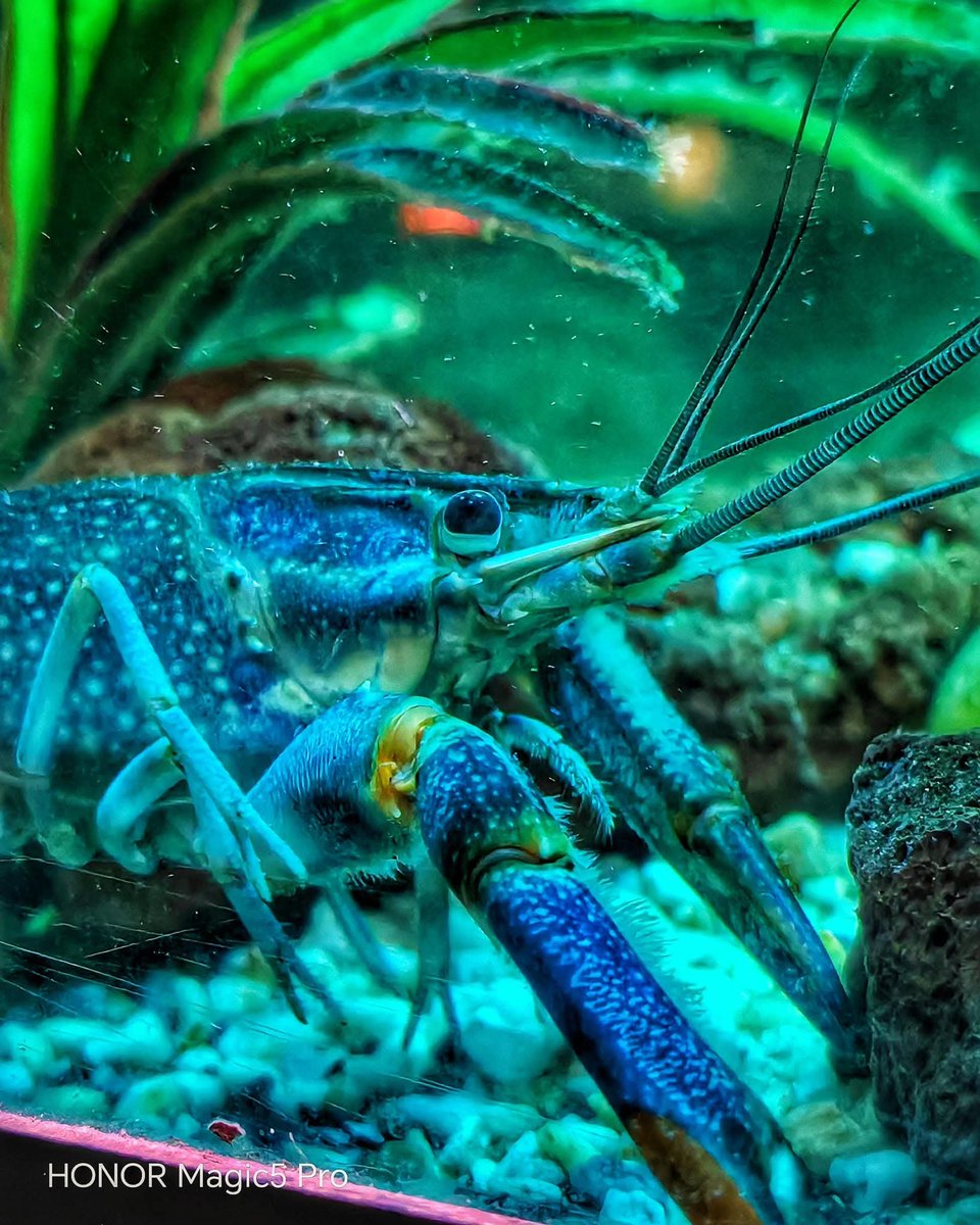mosave_87's tweet photo. El amor consiste en sentir que el ser sagrado late dentro del ser querido.
Platón
📷 IG: monicasauza
#cdmx #zoologicodechapultepec #NaturePhotography https://t.co/KsuzhWLssD
