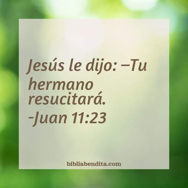barricada_azul1's tweet photo. [BUENOS DIAS SEÑOR]

"Jesús le dijo: Tu hermano resucitará" Juan 11:23

#DiosEnLaEcuacion

EL PODER DE JESUS
https://t.co/Gqr0g6XE49