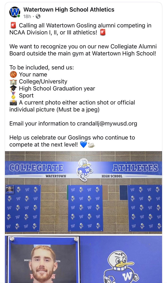 Watertown Goslings Sports Updates tweet media
