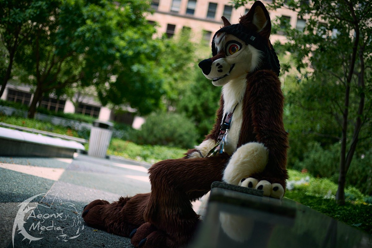 TazztheWolf tweet picture