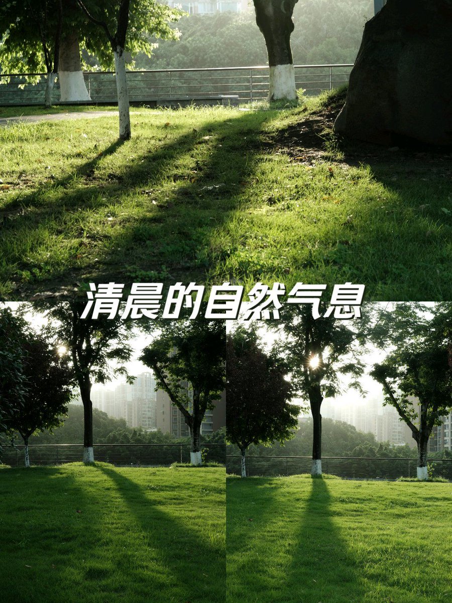 NicholasFu2qtp's tweet photo. New to photography Master 1 basic rule: natural light = warm, flattering shots. Try golden hour (1hr after sunrise/before sunset) for epic first snaps! https://t.co/jnojPaWzdy