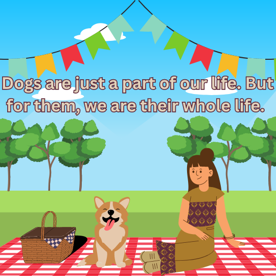 Burley_Electric's tweet photo. Happy All American Pet Photo Day! 🐶 🐱🐰🐠 🐕 🐩 https://t.co/KM4aIjGN3u