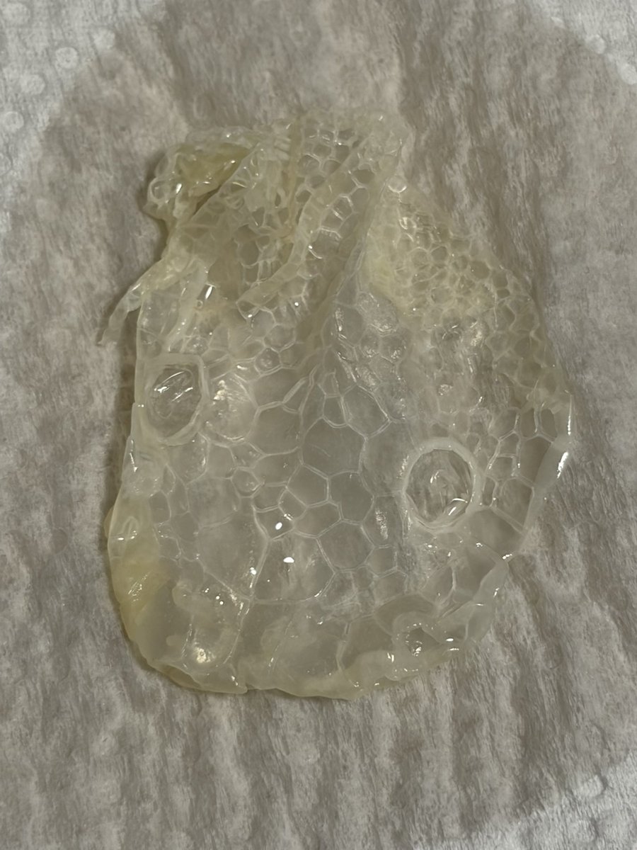 9Python0's tweet photo. ラミネートして持ち歩きたい
こうやってみると顔のサイズも大きく変わってるんだな https://t.co/lVz2FK5pdt