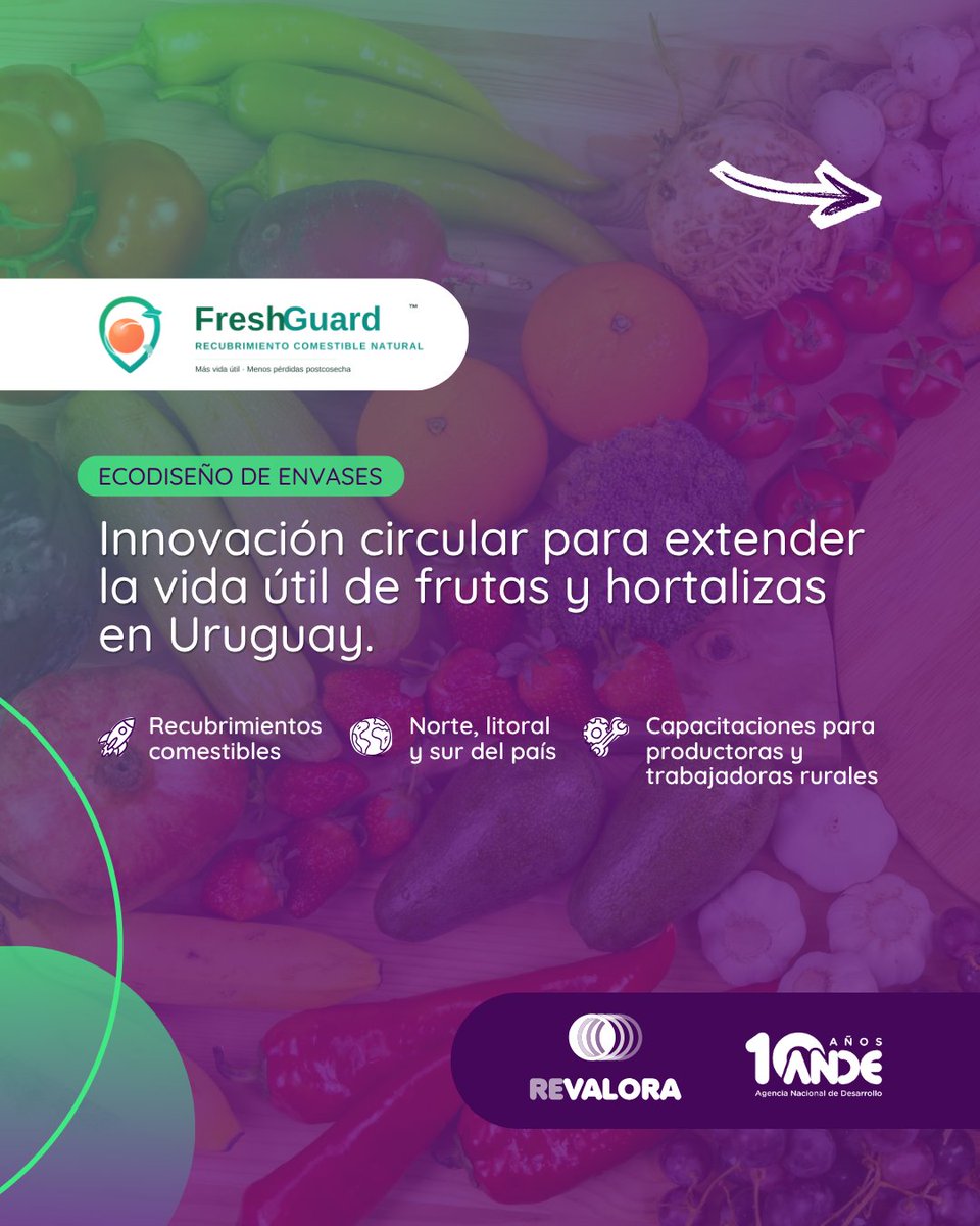 MIEM_Uruguay's tweet photo. 👏 FreshGuard™ fue seleccionada para la aceleración de emprendimientos en economía circular, iniciativa de ReValora y @ANDEUruguay.

🍎 El emprendimiento desarrolla un recubrimiento comestible y natural que extiende la vida útil de frutas y hortalizas.

🔗https://t.co/orX1Z2w8bo https://t.co/bvZkXqsaz3
