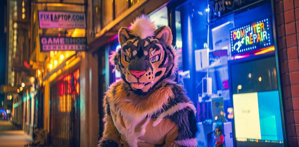 ZephTiger tweet picture
