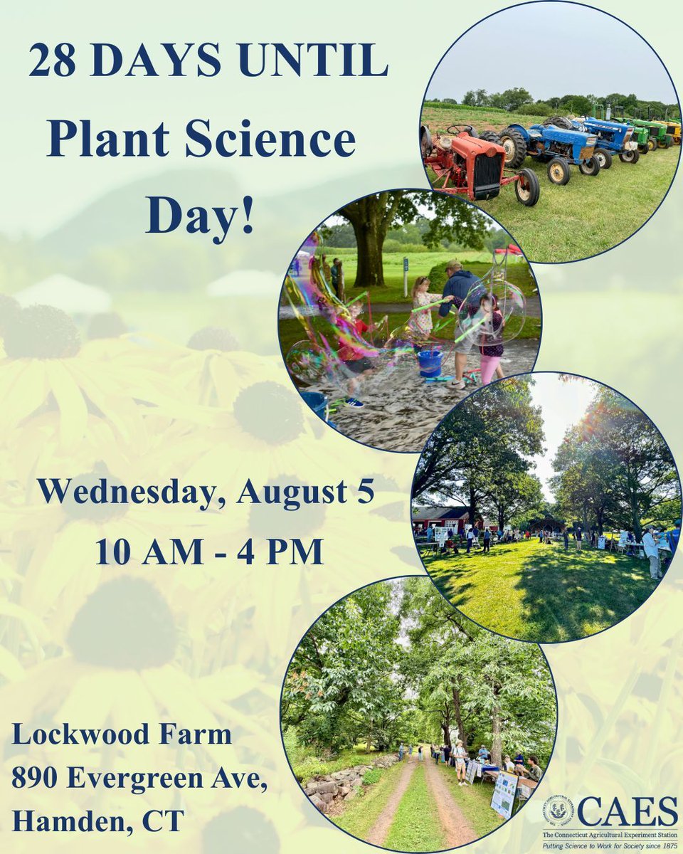 CT_CAES's tweet photo. Only 28 days until CAES opens its doors to you! Come talk with researchers dedicated to putting science to work for Connecticut. Enjoy kids' activities, food trucks, and a beautiful farm to explore! 🌻🚜 

 #CT_CAES #CTEvents #PlantScience #FamilyFriendly https://t.co/HmNuPAKptt