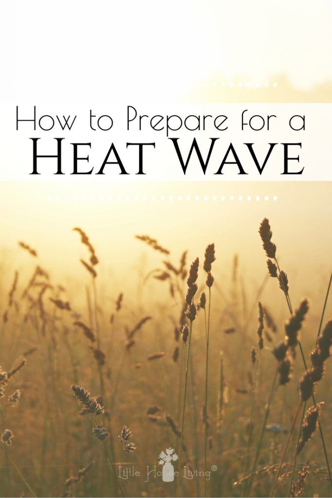 LHLiving's tweet photo. Are you ready for those days of an extreme heat wave that will scorch your garden and your skin? They happen every summer! Here are some ways to prepare for them.

https://t.co/DLELJIxU8K https://t.co/4gdDP9RSLI
