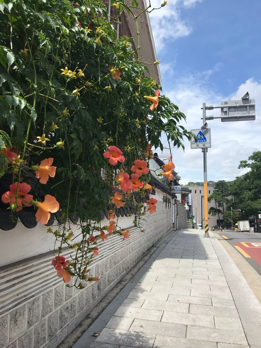 mndhja's tweet photo. 🐬 ꈍ .̮ ꈍ https://t.co/YVyrY9eifM