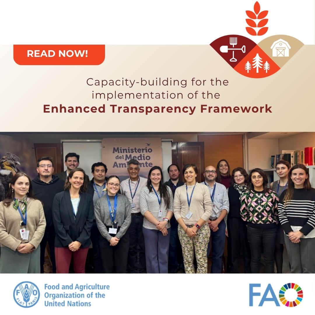 FAOclimate's tweet photo. Climate transparency starts with better data.

Learn how 🇨🇱 #Chile is strengthening GHG emissions monitoring &amp; reporting to support informed decisions and effective #ClimateAction.

👉 https://t.co/WVz97xwAoA

#Together4Transparency @MMAChile https://t.co/cDslJSUYer