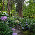 Photo by 深町秋生・「キリングブルー」連載中 (@ash0966)