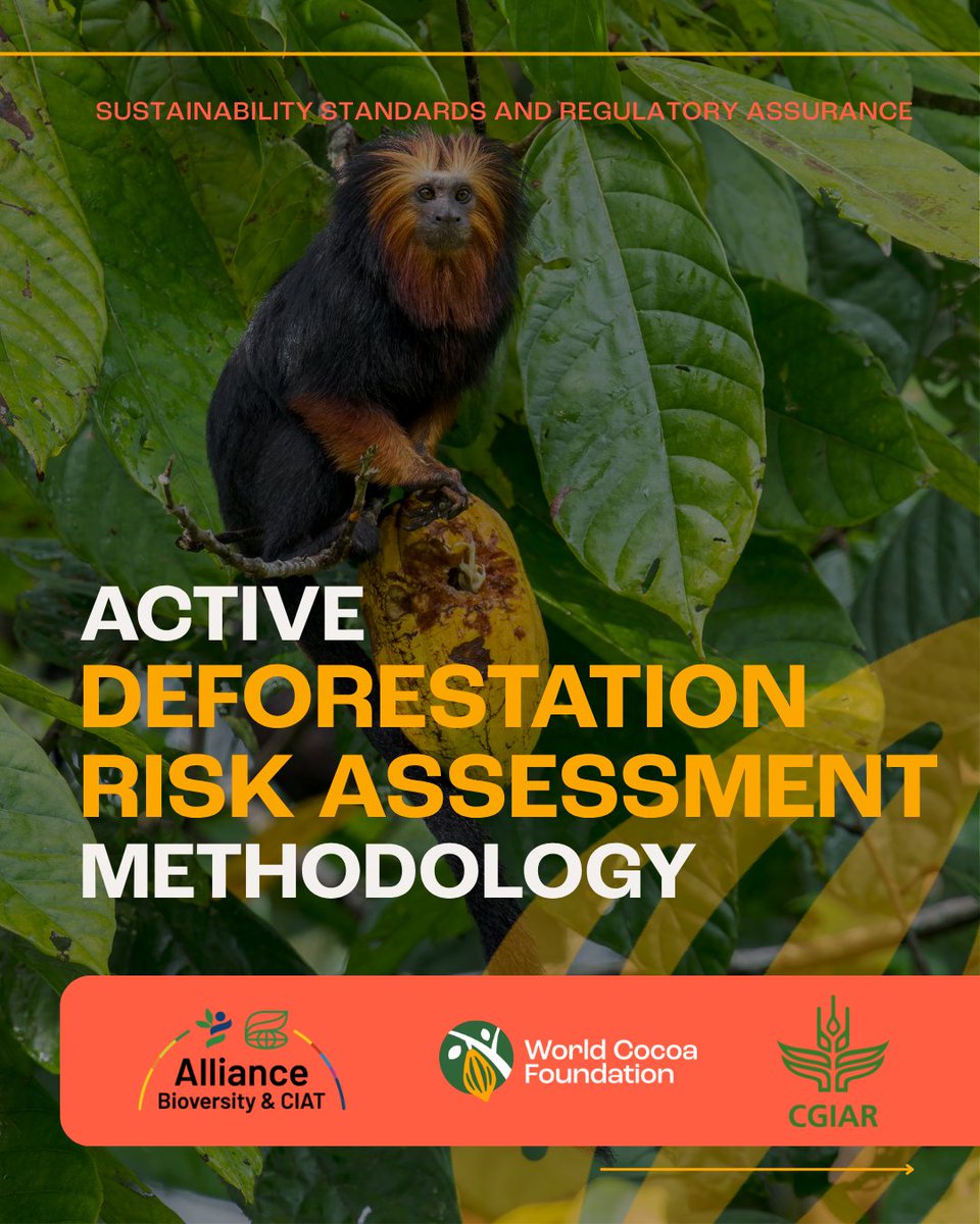 WorldCocoa's tweet photo. WCF, with the Alliance of Bioversity International and CIAT, member companies and partners, has published a new methodology to support more consistent, evidence-based assessment across cocoa supply chains.
Read more: https://t.co/H0CoLSMpvZ https://t.co/4CArefAzKO