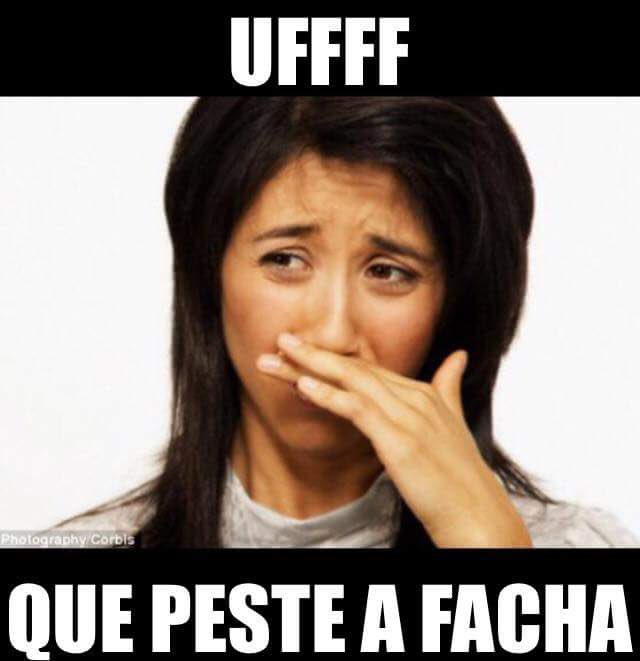 miquelet23's tweet photo. @FlordeYl Y a facha https://t.co/nFahdMB8Gu