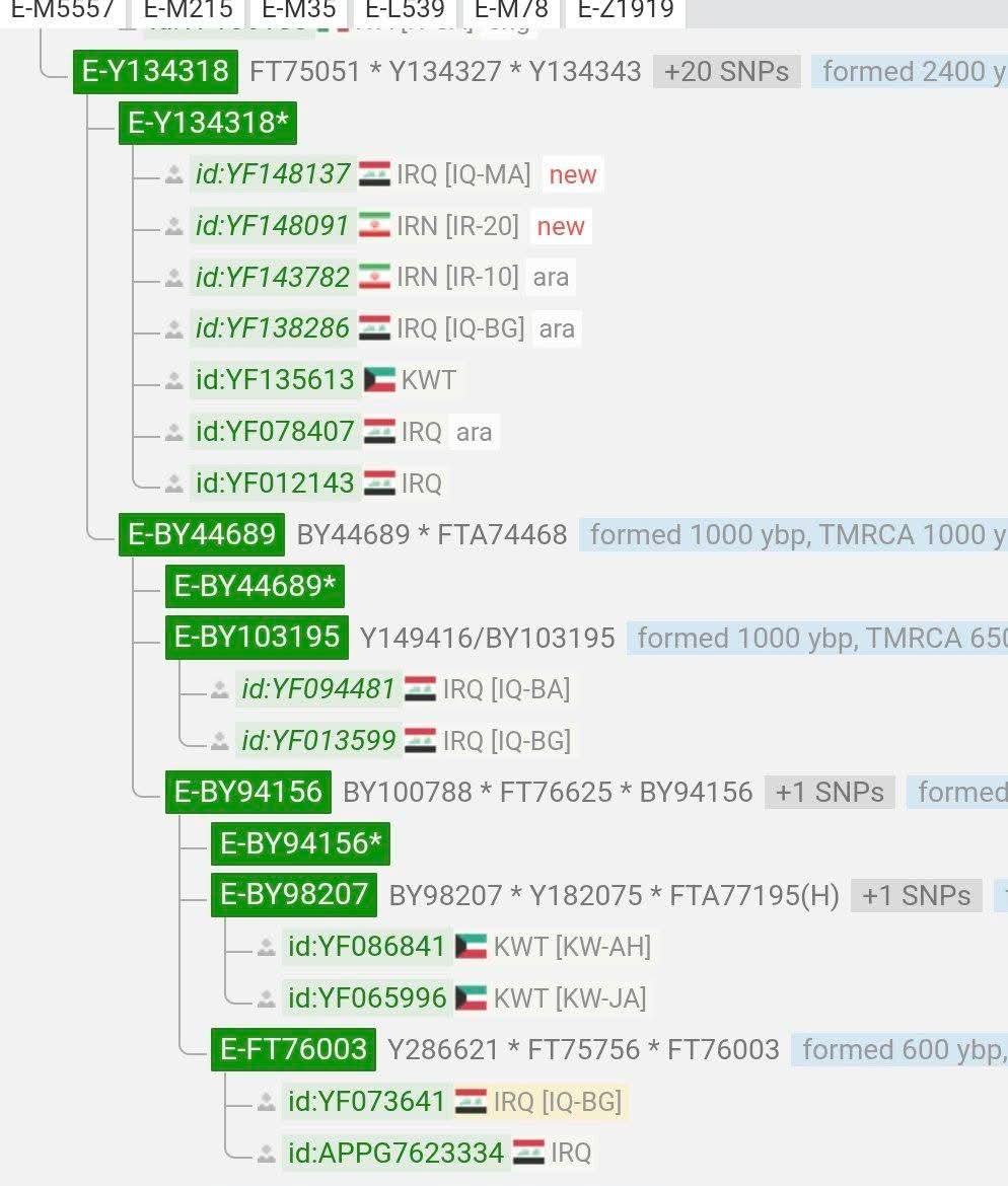 EM35_EV22's tweet photo. بالتعاون مع مشروع V22 يسرنا الإعلان عن نتيجة تطوير BigY لعينة السادة البخات في محافظة ميسان في العراق
على السلالة #EV22 التحور E-Y134343
متكتلاً مع عدد من العشائر العراقية والأحوازية
ويعود نسب السادة البخات إلى جعفر الخواري بن الإمام جعفر الصادق
نبارك لصاحب نشكره على مساهمته https://t.co/xHbOagWgeT