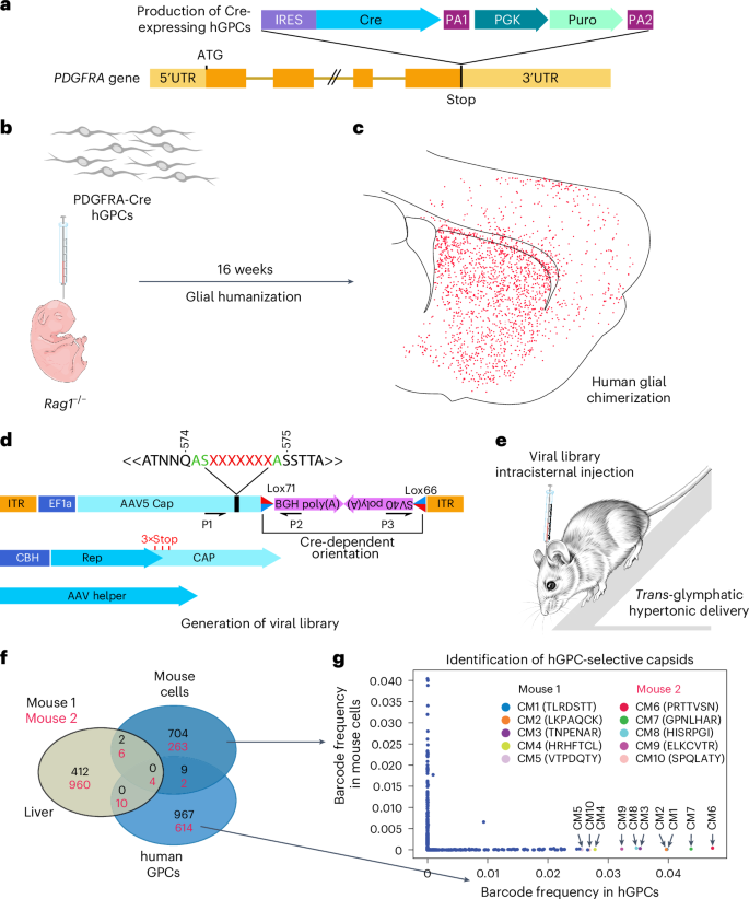 Nature Biotechnology tweet media
