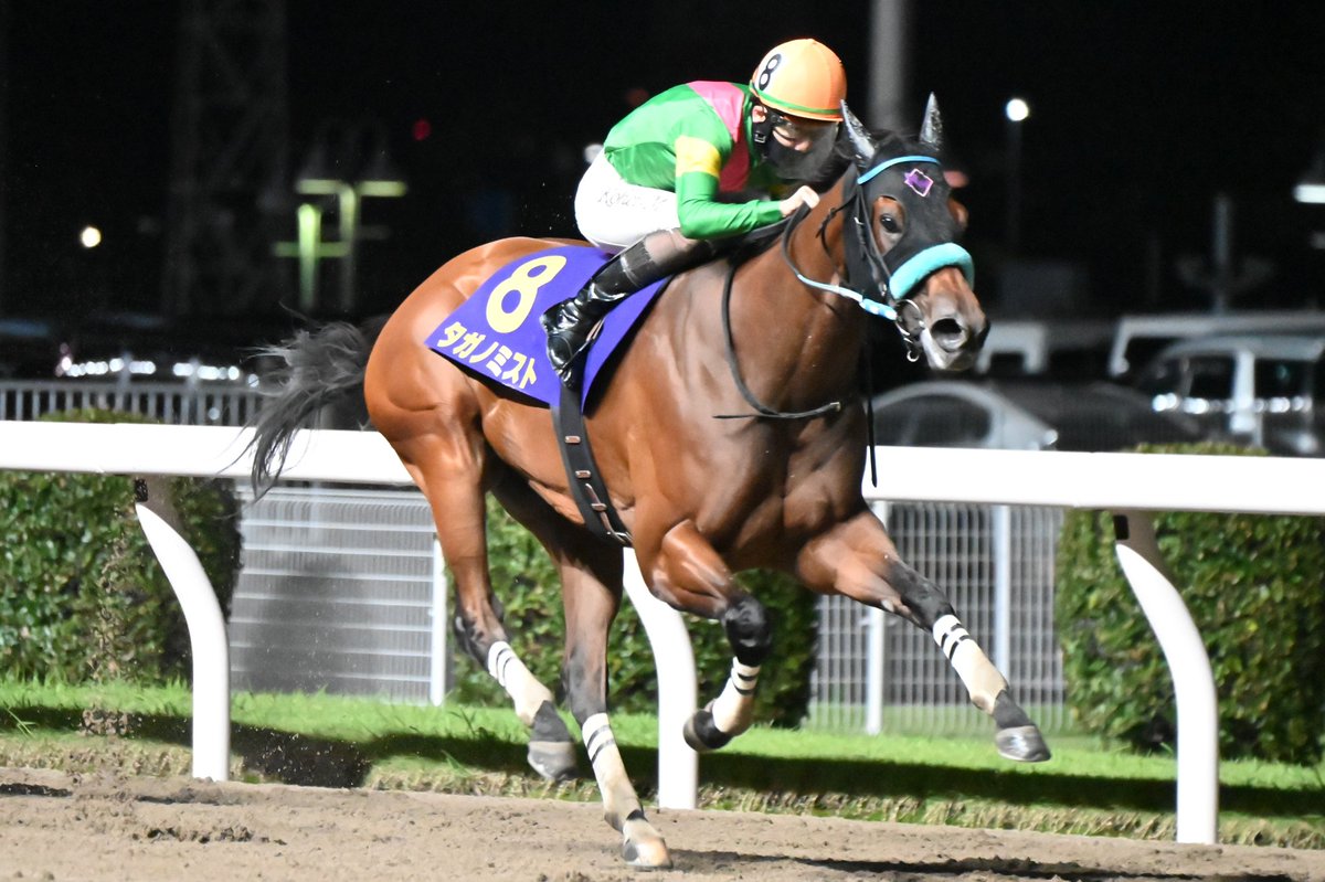 otembapan's tweet photo. 2026.7.8 川崎競馬場
スパーキングレディーカップ（JpnⅢ）
8 タガノミスト
完勝でした、おめでとう㊗️
ナイターっぽい写真が撮れてよかった笑…Z6Ⅱ良い https://t.co/wbubJtrAmo