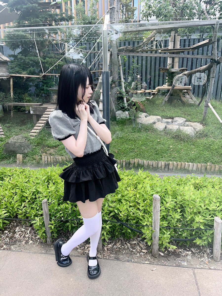 Vquxii's tweet photo. 動物園ずっと行きたくてようやくいけた°・*:.。.☆ https://t.co/bKxwd6081h