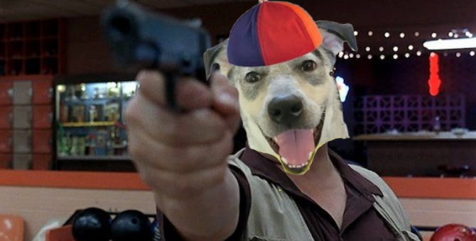 Roscoe_Meme's tweet photo. Roscoe is in control now. https://t.co/sG0faG0beq