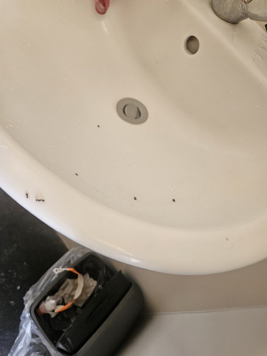 kellydan82's tweet photo. @Butlins wasnt expecting the Ritz, but this is not acceptable. Yes I spoke to management and apparently no other rooms available https://t.co/aTu5rwCk4U