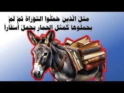 12alamir's tweet photo. @Pedrola51624238 https://t.co/ybnD5By8p0