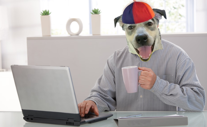 Roscoe_Meme's tweet photo. Buying more Roscoe here https://t.co/SB4XGNMDTg