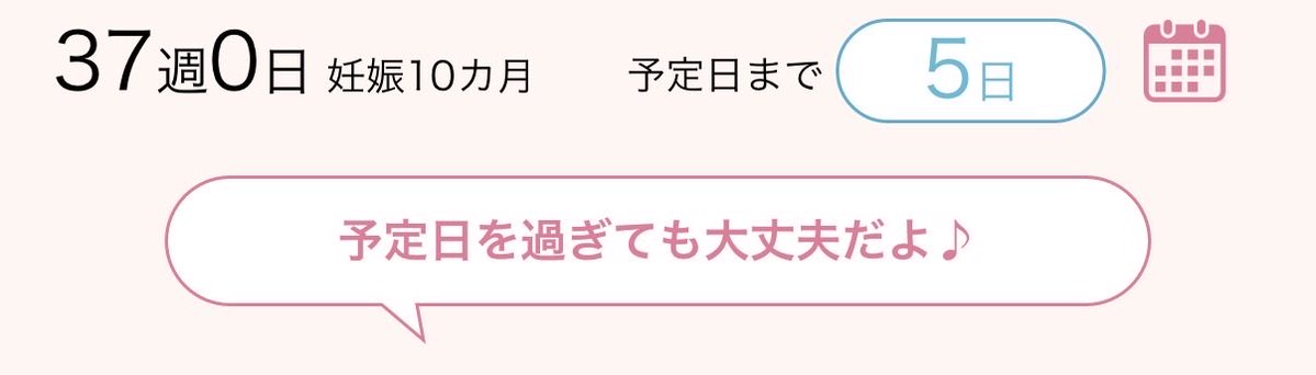 てぃらのちゃん 37w2d→0m🦖 tweet media