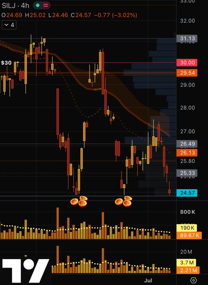 GoldGrumpGranpa's tweet photo. #SILJ just cleared the double bottom at 24.49 from June 10 and June 24.π
#silver #JuniorMiners https://t.co/HLNxt1fjg7