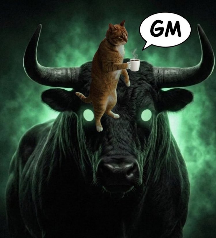 ItsFineRat's tweet photo. @a1lon9 @Pumpfun Hey from Ansems cat $Hobbes https://t.co/rQBTtboD8k